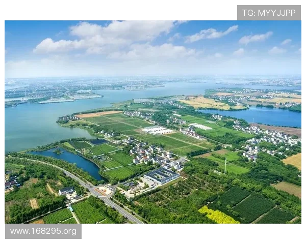 宝运莱：引领财富新风尚的投资平台与发展前景
